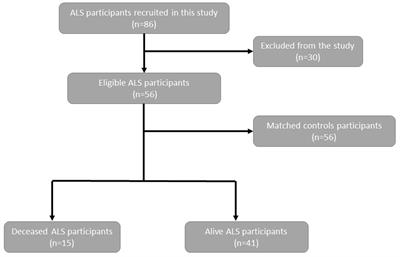 AES E-Library » Complete Journal: Volume 41 Issue 6