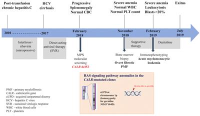 Biological and Clinical Implications of the Mutational Landscape in Myeloproliferative  Neoplasms