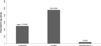 5 Comparison of party size and composition between chimpanzees and