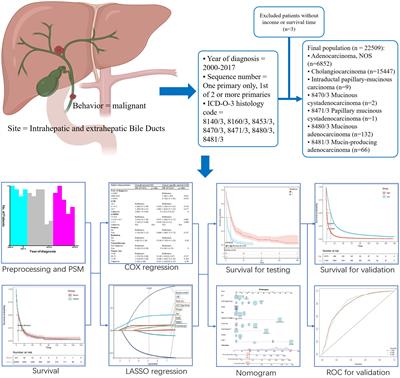 Prognostic Models for Mucinous and Non-specific Adeno Cholangiocarcinoma: A Population-based Retrospective Study