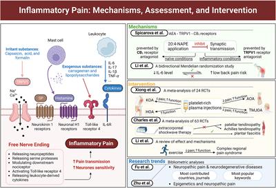 Frontiers | Editorial: Inflammatory pain: mechanisms, assessment, and ...