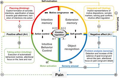 Frontiers | Personality systems interactions theory: an integrative ...