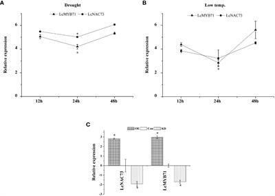 Frontiers  Identification of WRKY gene family members in amaranth based on  a transcriptome database and functional analysis of AtrWRKY42-2 in betalain  metabolism