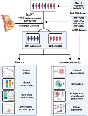 Frontiers  Identification of MARK2, CCDC71, GATA2, and KLRC3 as