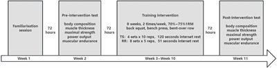 Frontiers  Effect of resistance training programs differing in set  structure on muscular hypertrophy and performance in untrained young men