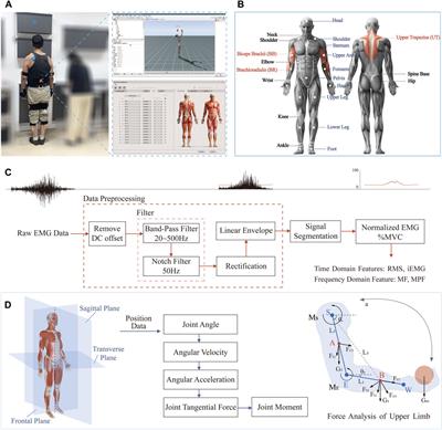 Effect of different postures and loads on joint motion and  - Frontiers