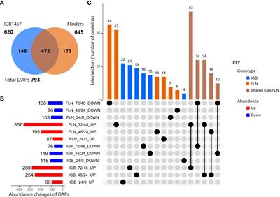 Proteome Analysis of Metabolic Proteins (pI 4–7) in Barley (Hordeum  vulgare) Malts and Initial Application in Malt Quality Discrimination