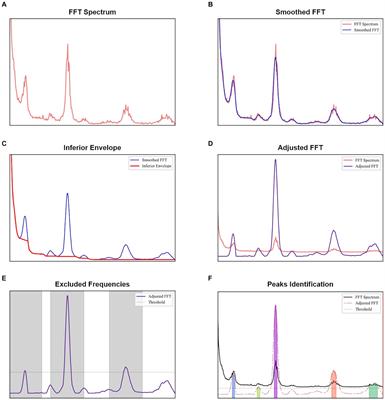 Frontiers | Characterization of pulsations in the brain and ...