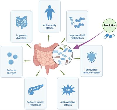 Frontiers | Postbiotic production: harnessing the power of microbial ...