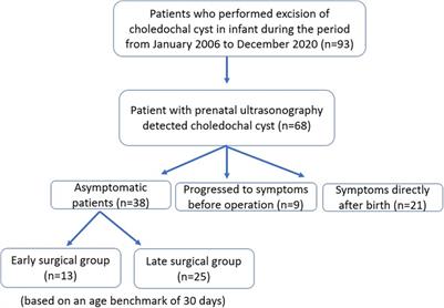 Frontiers | Optimal timing of surgery for prenatally diagnosed ...