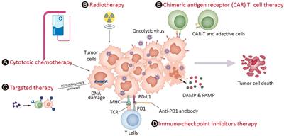 Frontiers | Oncolytic virotherapy in cancer treatment: challenges and ...