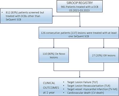 Frontiers | Treatment of coronary lesions with a novel crystalline ...