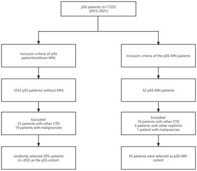 Frontiers | Development of a nomogram for membranous nephropathy ...