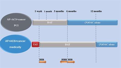 Antithrombotic Strategy In Cancer Patients Comorbid With. - Frontiers