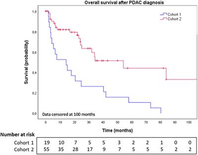 Frontiers | Management and outcomes of brain metastases from pancreatic ...