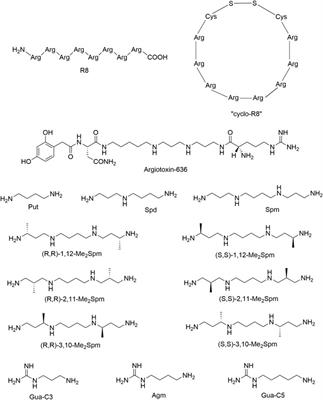 Frontiers | Inhibition of nicotinic acetylcholine receptors by ...