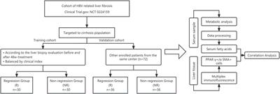 Frontiers | Serum metabolomics characteristics and fatty-acid-related ...