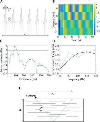 Frontiers | Widening the frontiers of elastography in biomechanics ...