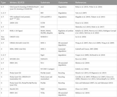 Frontiers  Deciphering non-canonical ubiquitin signaling: biology and  methodology