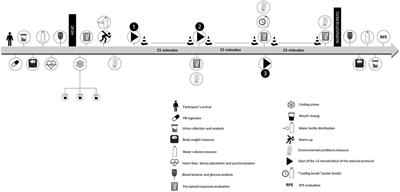 The effect of menthol rinsing before intermittent exercise on  physiological, physical, and thermo-behavioral responses of male football  referees in hot and humid environment - Frontiers