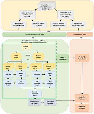 Exploring the intersection of obesity and gender in COVID-19 outcomes in hospitalized Mexican patients: a comparative analysis of risk profiles using unsupervised machine learning