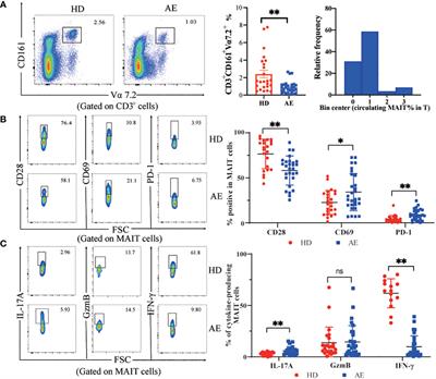 Frontiers | Phenotype and function of MAIT cells in patients with ...