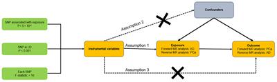 Frontiers | Causal relationship between Alzheimer’s disease and ...