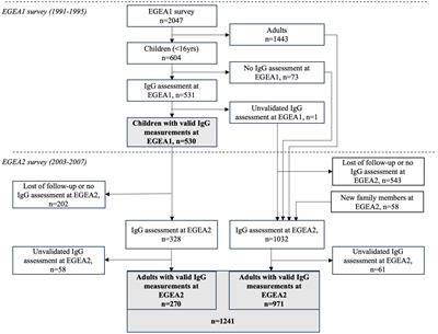 Frontiers | Determinants of immunoglobulin G responses to respiratory ...