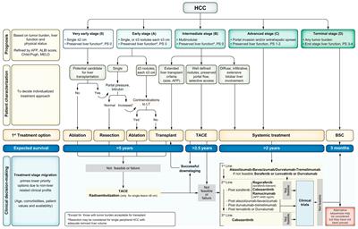 Frontiers | Neoadjuvant systemic therapy for hepatocellular carcinoma