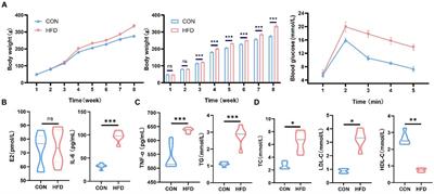 Frontiers | Multiomics analysis investigating the impact of a high-fat ...