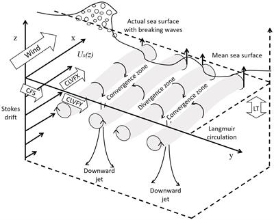 Frontiers | Detecting the role of Stokes drift under typhoon condition ...