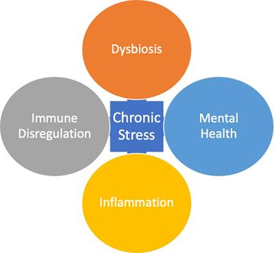 Frontiers | Dangers of the chronic stress response in the context of ...