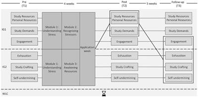 Evaluation of two study demands-resources-based interventions: a randomized controlled trial