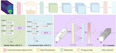 Efficient residual network using hyperspectral images for corn variety identification