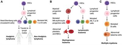 Frontiers | The clinical regimens and cell membrane camouflaged ...