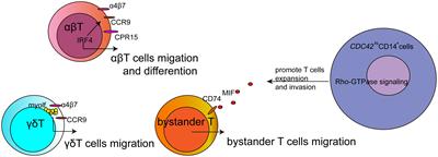 Frontiers | Editorial: Regulation of immune cell trafficking in ...