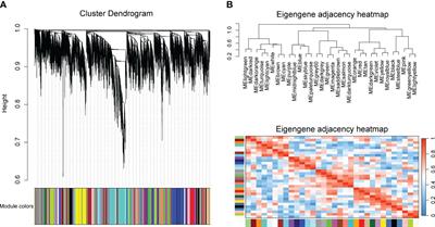 Frontiers | Analysis of huanglongbing-associated RNA-seq data reveals ...