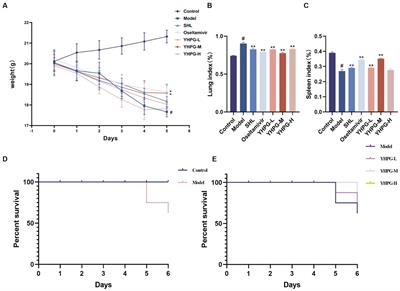 Frontiers | Therapeutic effect of Yinhuapinggan granules mediated ...