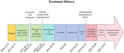 Frontiers | ALK-rearranged and EGFR wild-type lung adenocarcinoma ...