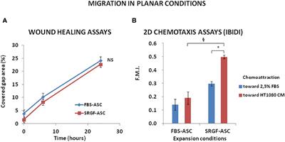 expansion in a clinical grade medium, containing growth factors from human platelets, enhances migration capacity of adipose stem cells