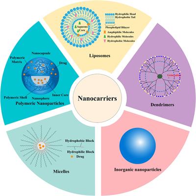 Frontiers | Nano-based drug delivery systems for active ingredients ...