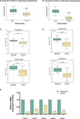 Frontiers | Corrigendum: ITGAL expression in non-small-cell lung cancer ...