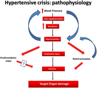 Hypertension Management - Managing High Blood Pressure with Dario