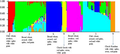 Frontiers | Mining Centuries Old In situ Conserved Turkish Wheat ...