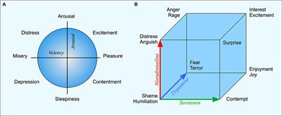 Frontiers | Spaces in the Brain: From Neurons to Meanings