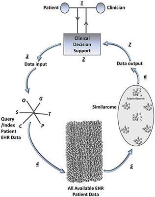 Frontiers Patient Similarity Emerging Concepts In Systems - 