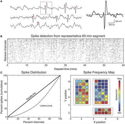 Frontiers | Spatiotemporal Mapping Of Interictal Spike Propagation: A