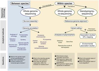 Frontiers Using Population And Comparative Genomics To - 