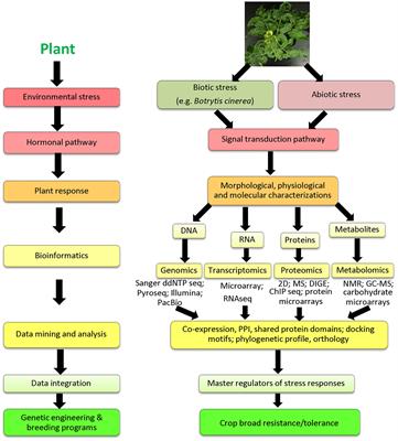 Frontiers | ‘Omics’ and Plant Responses to Botrytis cinerea | Plant Science