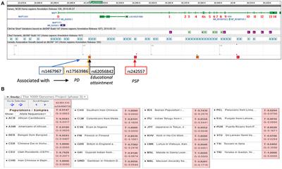 Frontiers Genome Wide Association Mapping Identifies Novel Loci For